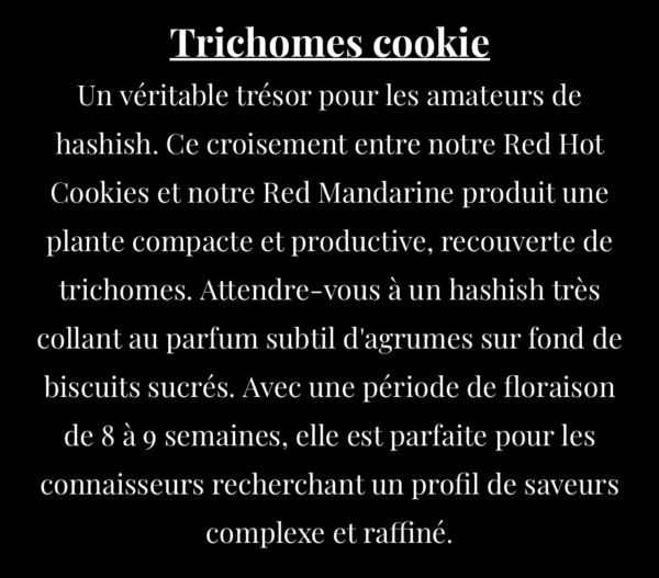 Trichomes Cookie – Image 2