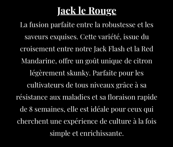 Jack le Rouge – Image 2