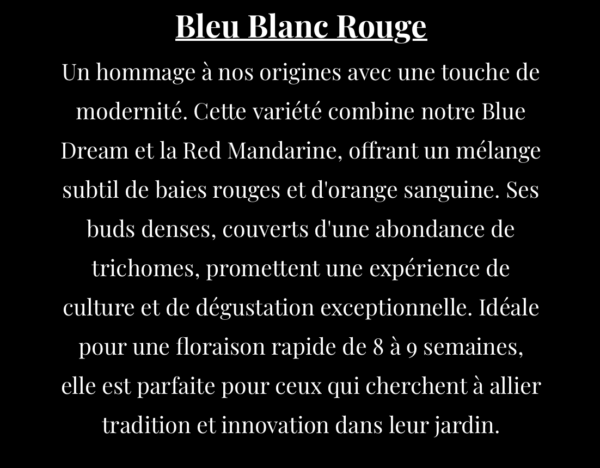 Bleu Blanc Rouge – Image 3